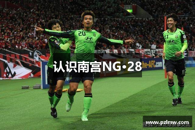 认识南宫NG·28